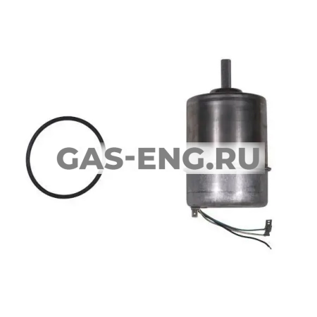 Электродвигатель Sololift2 WC-1, WC-3, CWC-3, Grundfos купить в интернет-магазине промышленного оборудования в Санкт-Петербурге