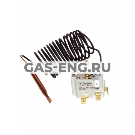 Регулировочный термостат 30-90°C , De Dietrich купить в интернет-магазине промышленного оборудования в Санкт-Петербурге