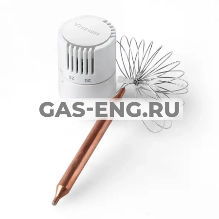 Термостатическая головка с выносным жидкостным датчиком, Pro Aqua купить в интернет-магазине промышленного оборудования в Санкт-Петербурге