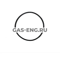Уплотнение камеры сгорания, Baxi купить в интернет-магазине промышленного оборудования в Санкт-Петербурге