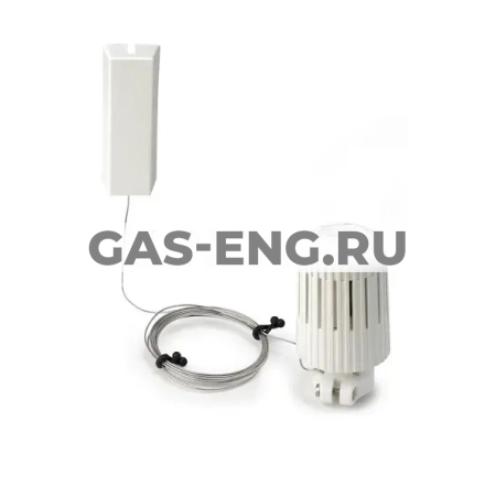 Термостатическая головка с выностным датчиком, Giacomini R463 купить в интернет-магазине промышленного оборудования в Санкт-Петербурге