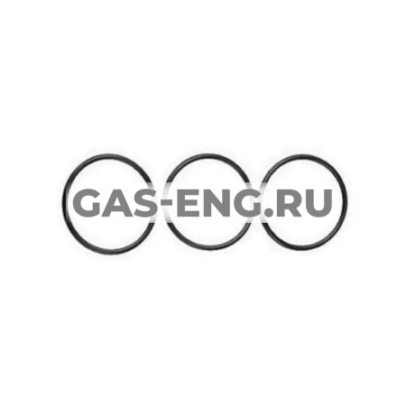 Уплотнительные кольца, Viessmann купить в интернет-магазине промышленного оборудования в Санкт-Петербурге