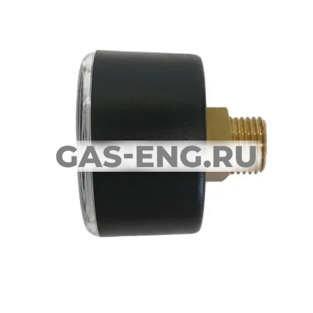 Манометр аксиальный (осевой) для Protector mini HWS, BWT купить в интернет-магазине промышленного оборудования в Санкт-Петербурге