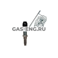 Регулятор тяги для твердотопливных котлов R158, Giacomini купить в интернет-магазине промышленного оборудования в Санкт-Петербурге