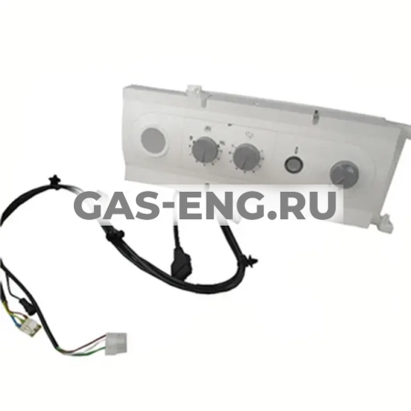 Контроллер в сборе CGB-35/50, Wolf купить в интернет-магазине промышленного оборудования в Санкт-Петербурге