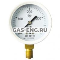 Манометр технический ДМ 05063-C2H2 купить в интернет-магазине промышленного оборудования в Санкт-Петербурге Манометр технический ДМ 05063-C2H2 купить в интернет-магазине промышленного оборудования в Санкт-Петербурге