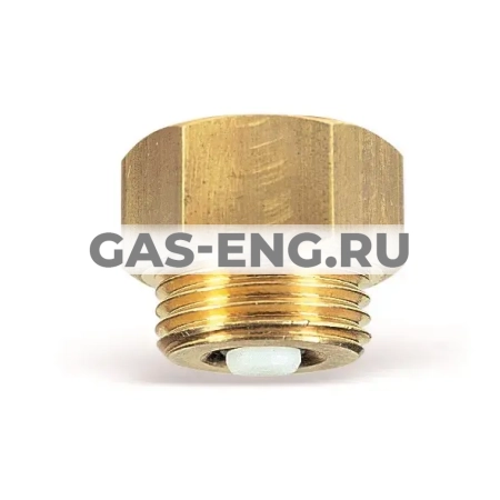 Клапан запорный автоматический для манометра REM, Watts купить в интернет-магазине промышленного оборудования в Санкт-Петербурге