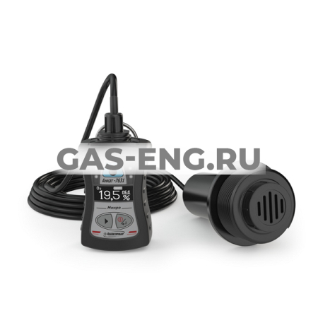 АНКАТ-7631Микро-О2-ВД - переносной газоанализатор кислорода купить в интернет-магазине промышленного оборудования в Санкт-Петербурге