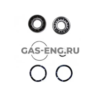 Комплект подшипников для SEG, Frame B/C, Grundfos купить в интернет-магазине промышленного оборудования в Санкт-Петербурге