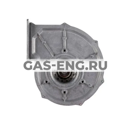 Вентилятор G1G170, Viessmann купить в интернет-магазине промышленного оборудования в Санкт-Петербурге