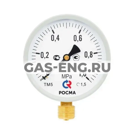 Манометр, тип ТМ серия 10 М2, исполнение стандартное, подключение снизу, кл. 1,5, серый, Росма купить в интернет-магазине промышленного оборудования в Санкт-Петербурге Манометр, тип ТМ серия 10 М2, исполнение стандартное, подключение снизу, кл. 1,5, серый, Росма купить в интернет-магазине промышленного оборудования в Санкт-Петербурге