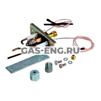 Запальная горелка в сборе (без сопла зап. горелки и трубки подачи газа), De Dietrich купить в интернет-магазине промышленного оборудования в Санкт-Петербурге