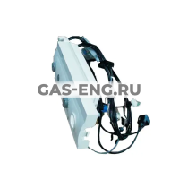 Контроллер CGG-1 в сборе, Wolf купить в интернет-магазине промышленного оборудования в Санкт-Петербурге