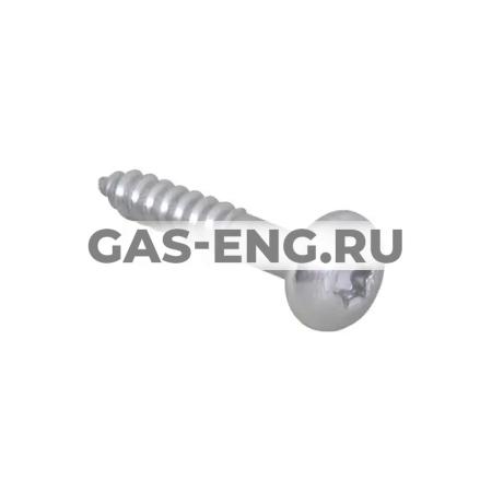 Шуруп TX30 BIS RapidRail, Walraven купить в интернет-магазине промышленного оборудования в Санкт-Петербурге Шуруп TX30 BIS RapidRail, Walraven купить в интернет-магазине промышленного оборудования в Санкт-Петербурге