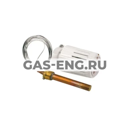 Термостатическая головка с накладным датчиком, R462L2, Giacomini купить в интернет-магазине промышленного оборудования в Санкт-Петербурге