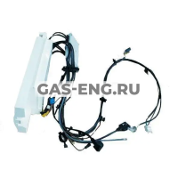 Контроллер в сборе CGB(K)/CGS 11-24, Wolf купить в интернет-магазине промышленного оборудования в Санкт-Петербурге