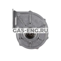 Вентилятор G1G170, Viessmann купить в интернет-магазине промышленного оборудования в Санкт-Петербурге