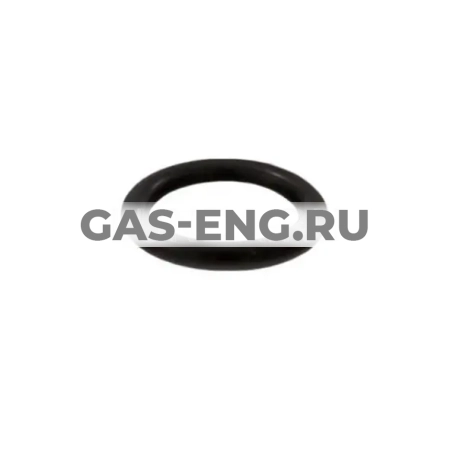 Уплотнительное кольцо для импульсной трубки  ASV (10 штук), Danfoss купить в интернет-магазине промышленного оборудования в Санкт-Петербурге