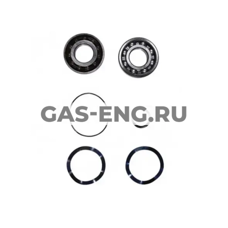 Комплект подшипников для SEG, Frame B/C, Grundfos купить в интернет-магазине промышленного оборудования в Санкт-Петербурге