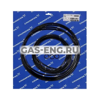 Комплект уплотнительных колец насоса и мотора Kit O-rings S Fr. 54, Grundfos купить в интернет-магазине промышленного оборудования в Санкт-Петербурге